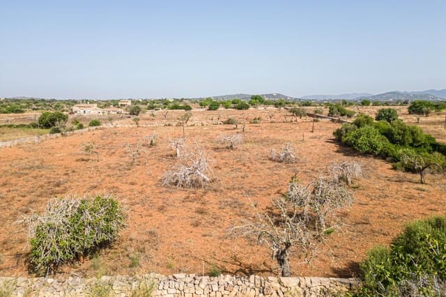Building Plot for sale in Manacor - € 299,900 (Ref: 7913656)