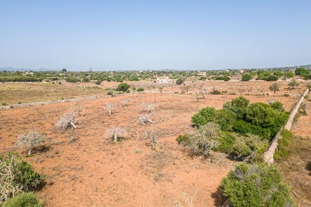 Building Plot for sale in Manacor - € 299,900 (Ref: 7913656)