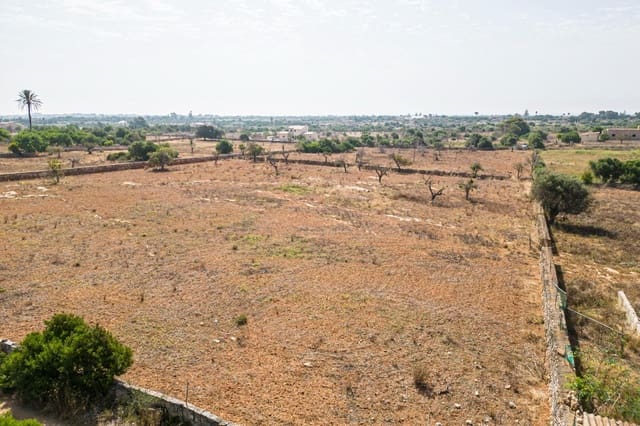 Building Plot for sale in Manacor - € 299,900 (Ref: 7913656)