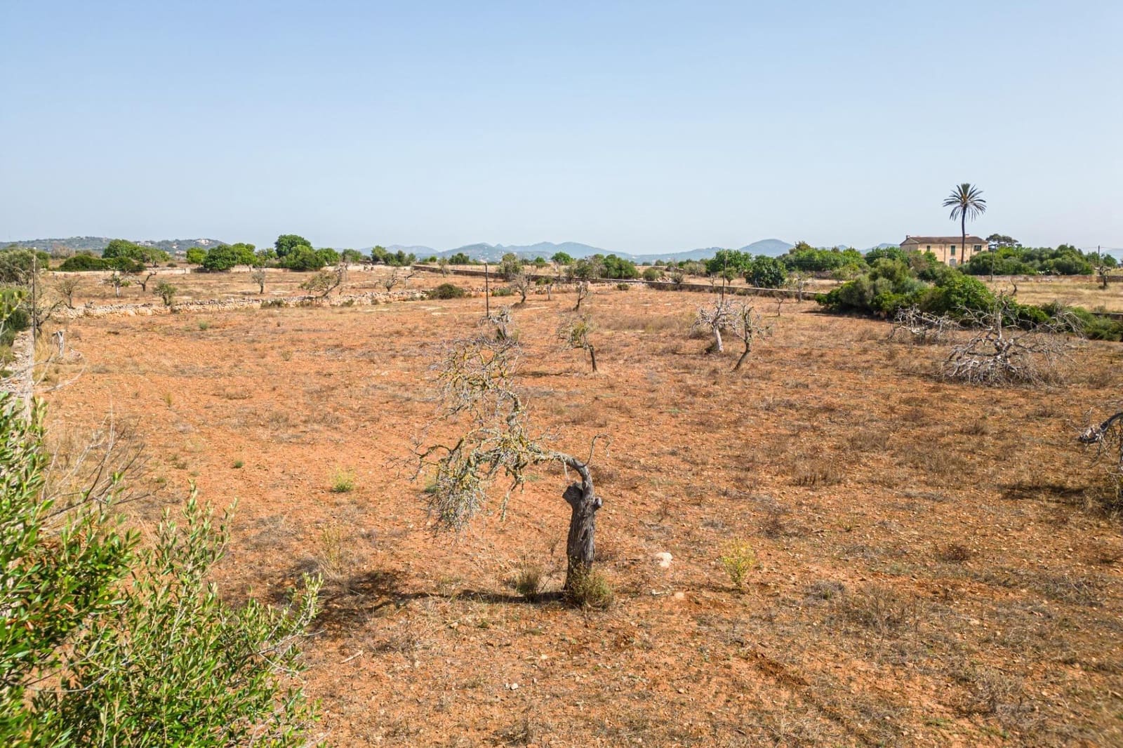 Byggegrund til salg i Manacor - € 299.900 (Ref: 7913656)