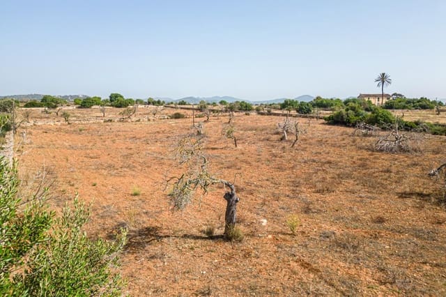 Building Plot for sale in Manacor - € 299,900 (Ref: 7913656)