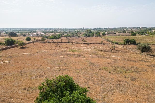 Building Plot for sale in Manacor - € 299,900 (Ref: 7913656)