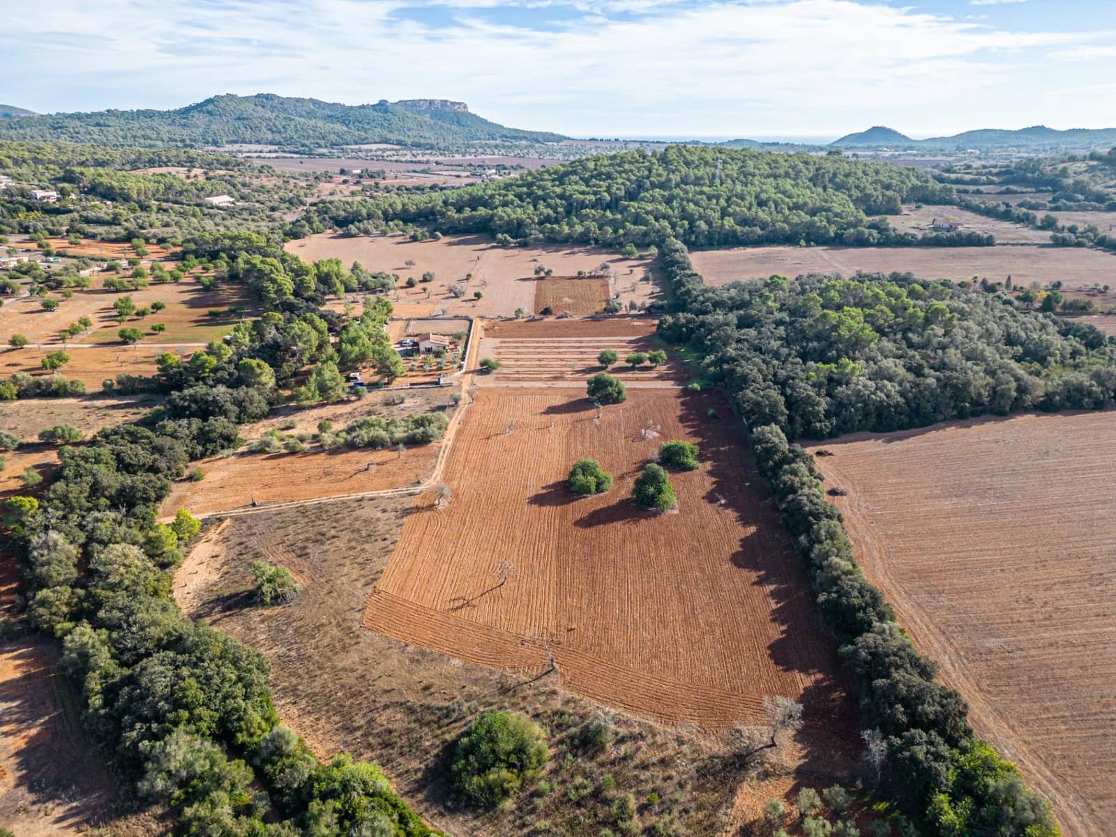 Działka budowlana na sprzedaż w Felanitx - 259 000 € (Ref: 7987760)