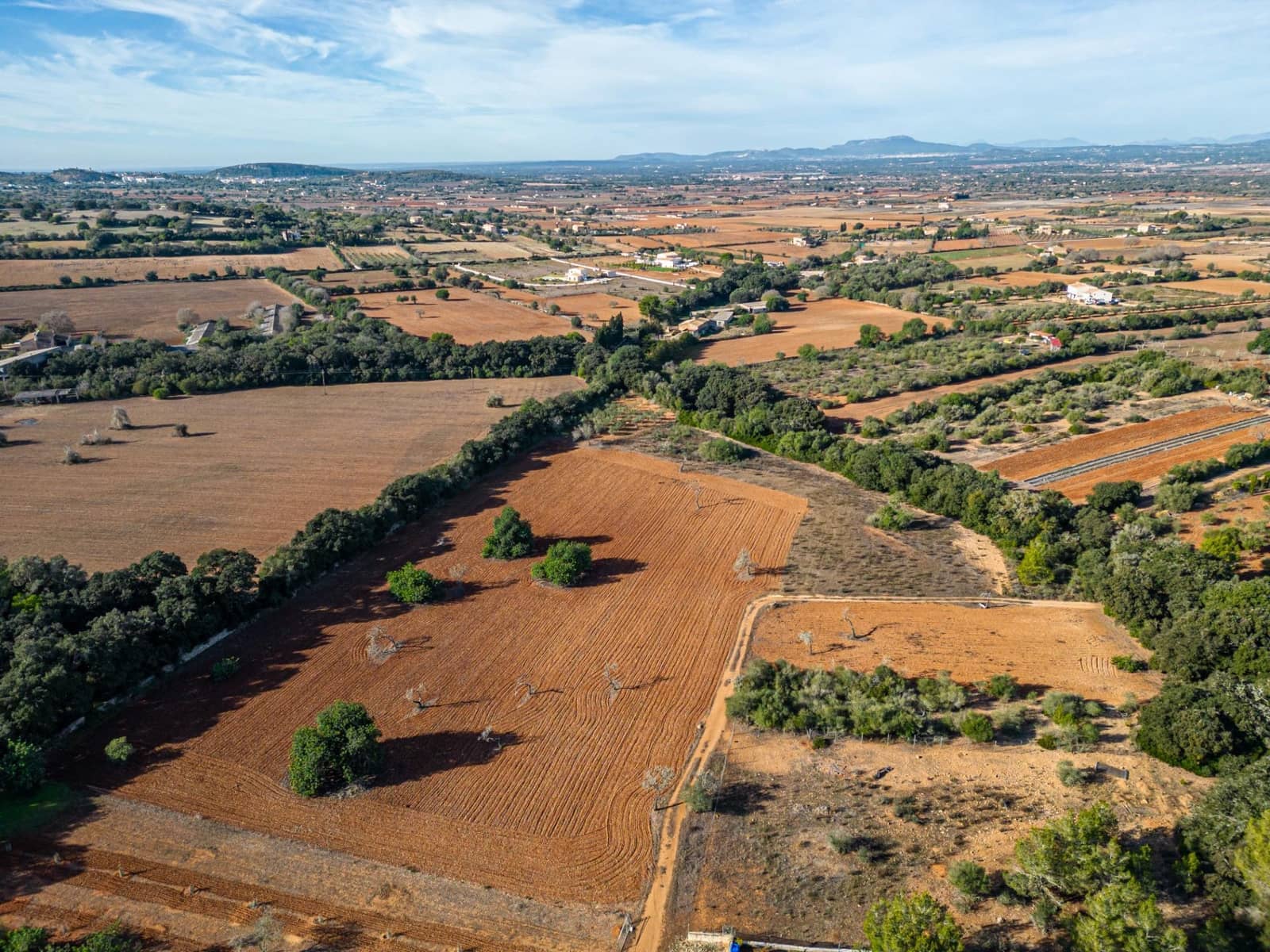 Działka budowlana na sprzedaż w Felanitx - 259 000 € (Ref: 7987760)