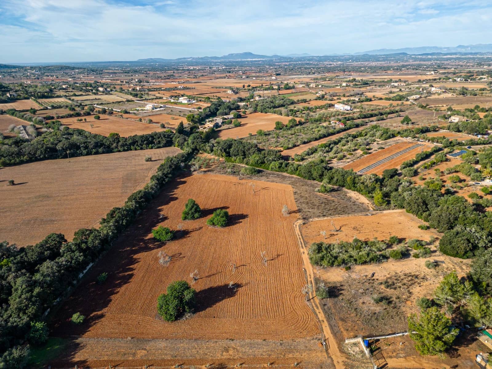 Działka budowlana na sprzedaż w Felanitx - 259 000 € (Ref: 7987760)