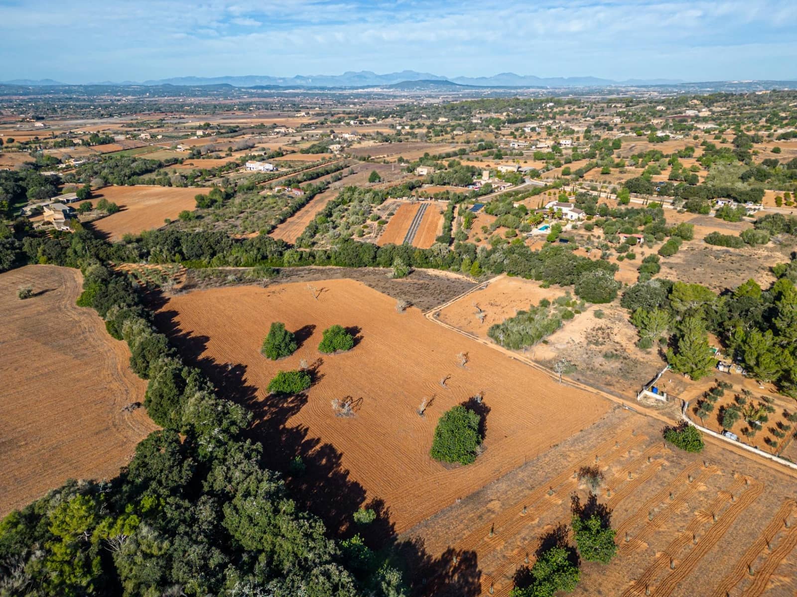 Działka budowlana na sprzedaż w Felanitx - 259 000 € (Ref: 7987760)