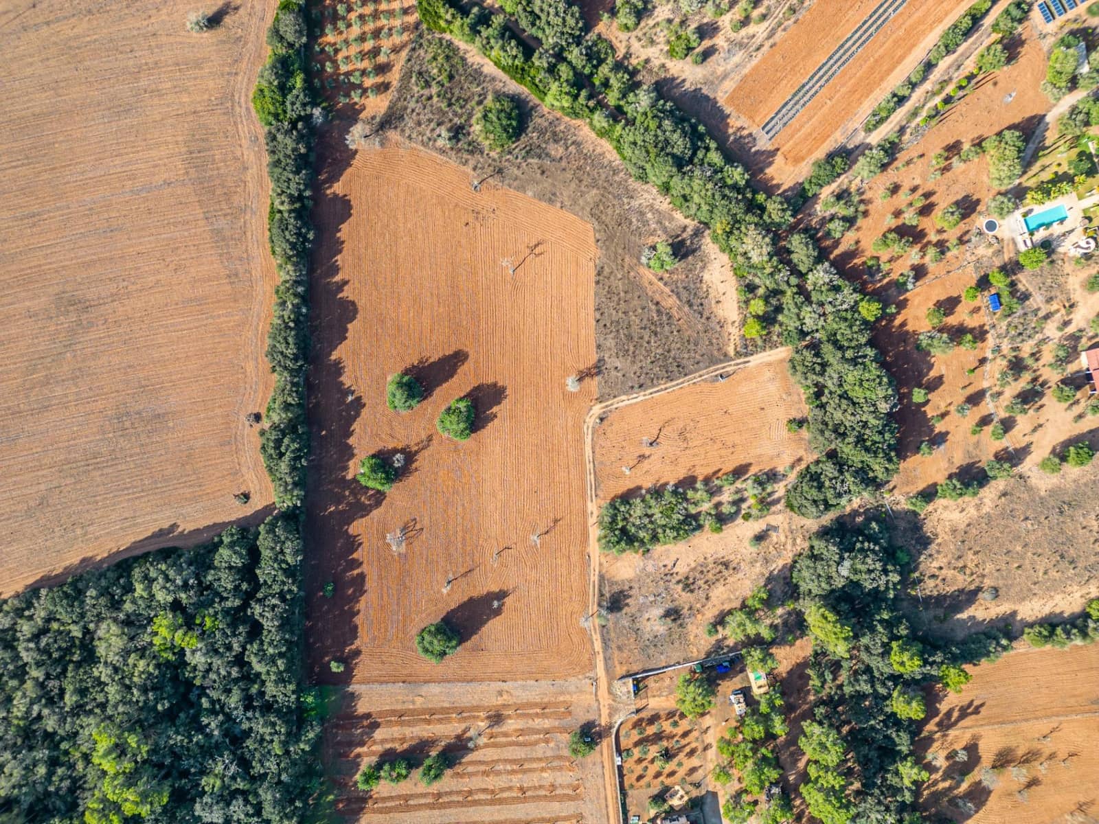 Działka budowlana na sprzedaż w Felanitx - 259 000 € (Ref: 7987760)