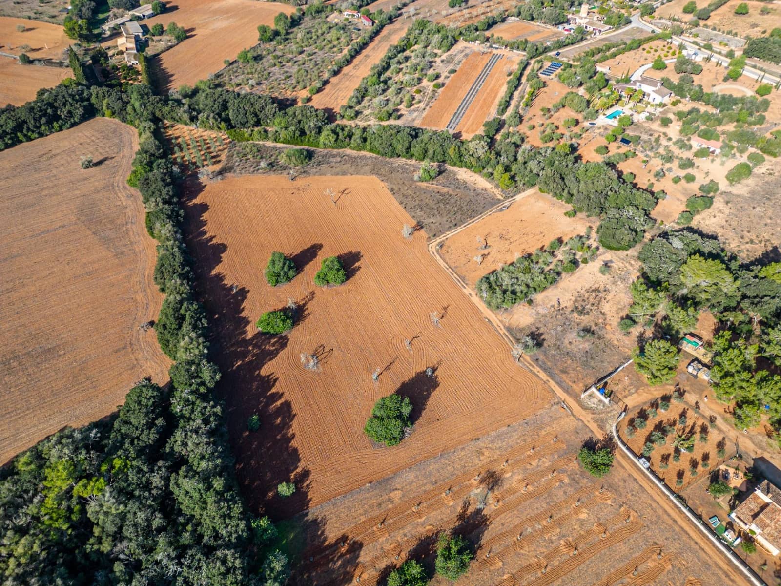 Działka budowlana na sprzedaż w Felanitx - 259 000 € (Ref: 7987760)