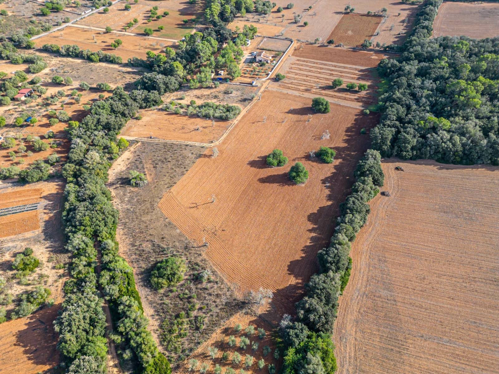 Działka budowlana na sprzedaż w Felanitx - 259 000 € (Ref: 7987760)