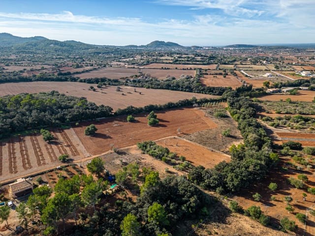 Działka budowlana na sprzedaż w Felanitx - 259 000 € (Ref: 7987760)