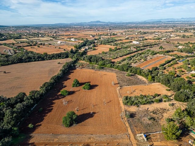 Działka budowlana na sprzedaż w Felanitx - 259 000 € (Ref: 7987760)