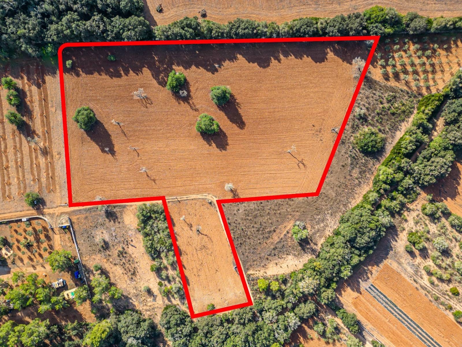 Działka budowlana na sprzedaż w Felanitx - 259 000 € (Ref: 7987760)