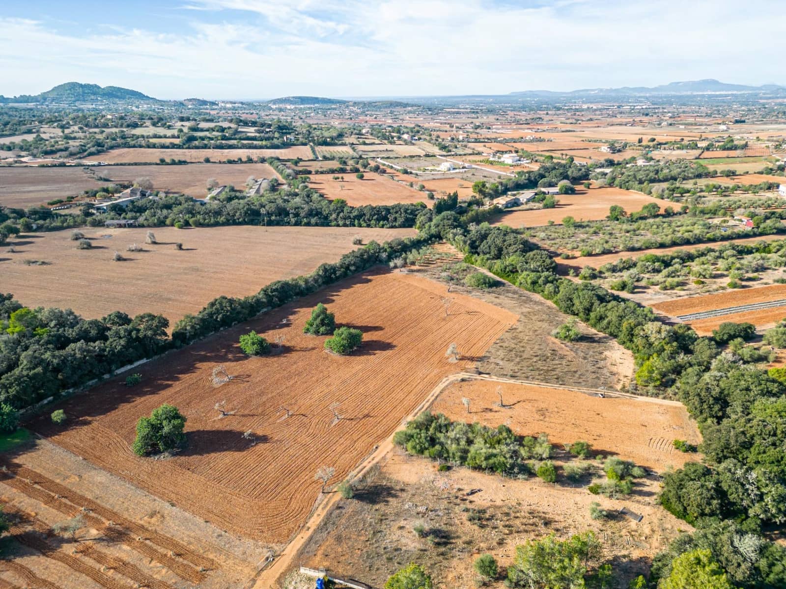 Działka budowlana na sprzedaż w Felanitx - 259 000 € (Ref: 7987760)