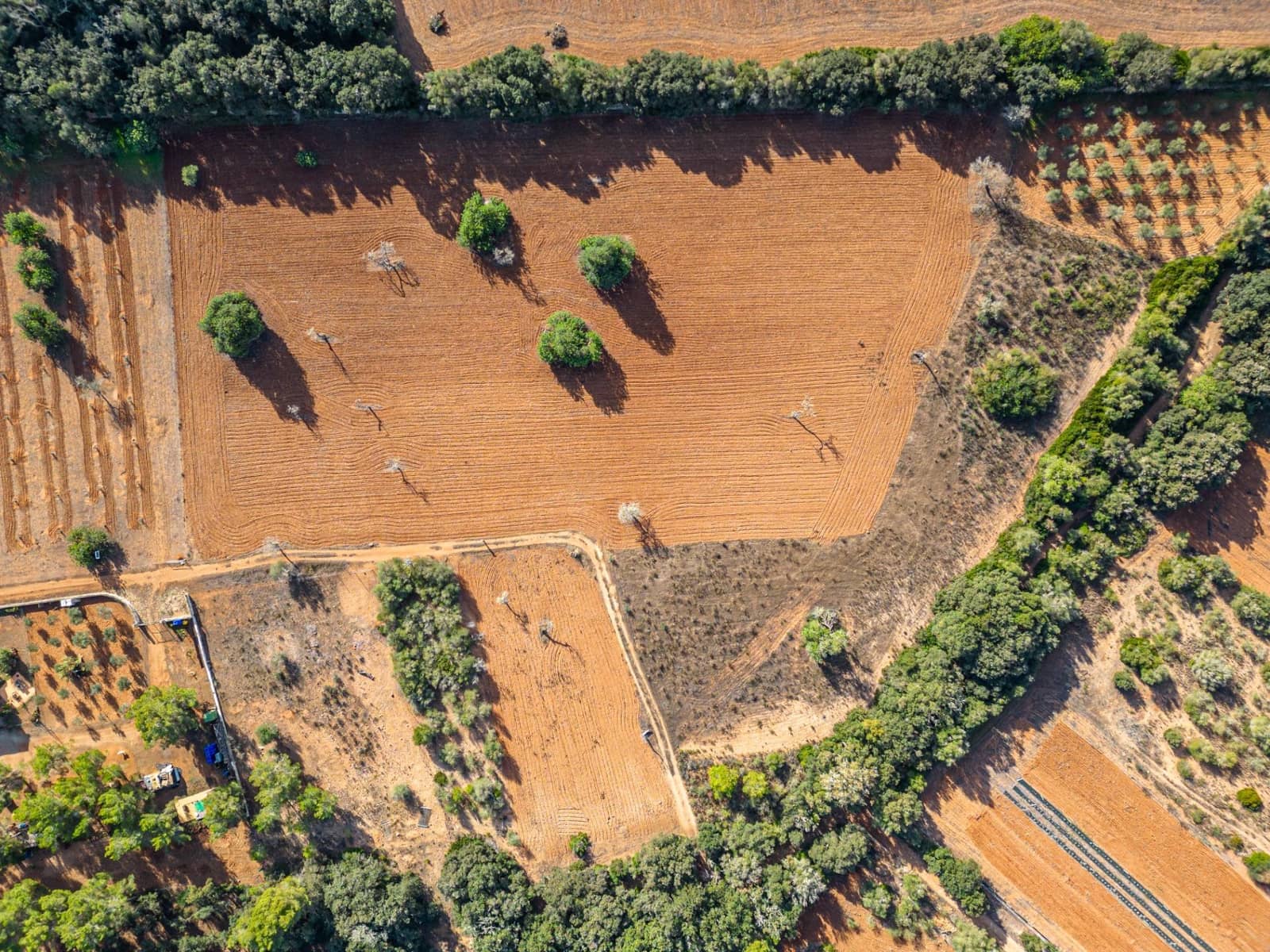 Działka budowlana na sprzedaż w Felanitx - 259 000 € (Ref: 7987760)