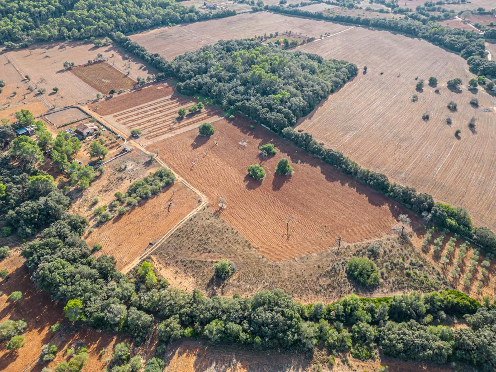 Działka budowlana na sprzedaż w Felanitx - 259 000 € (Ref: 7987760)