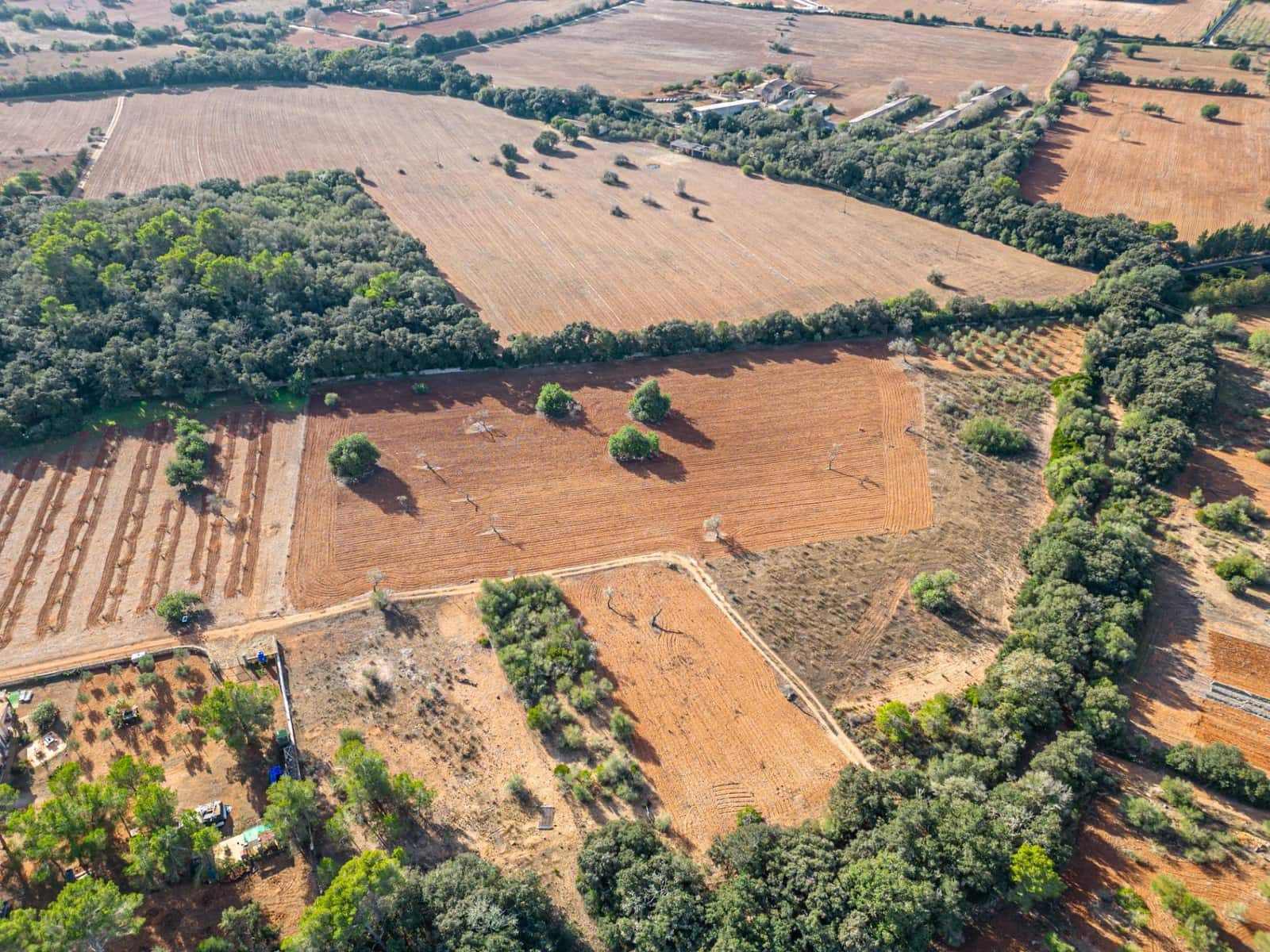 Działka budowlana na sprzedaż w Felanitx - 259 000 € (Ref: 7987760)