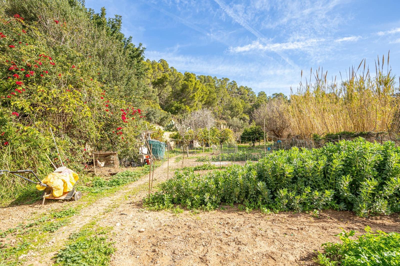 6 soveværelse Finca/Landehus til salg i Sant Elm - € 1.490.000 (Ref: 8170049)