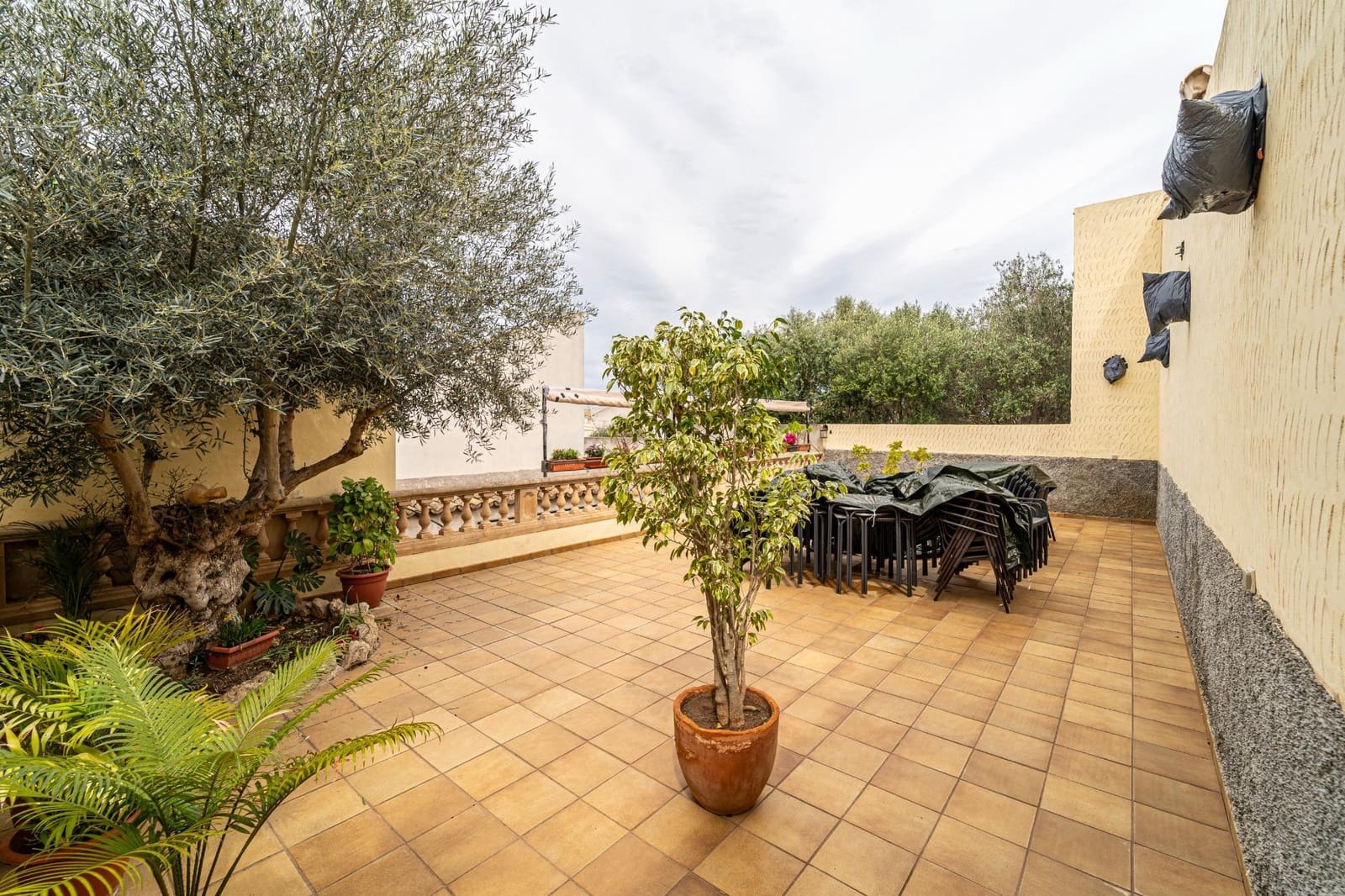 3 soveværelse Erhverv til leje i Maria de la Salud / Maria de la Salut - € 2.600 (Ref: 8211551)