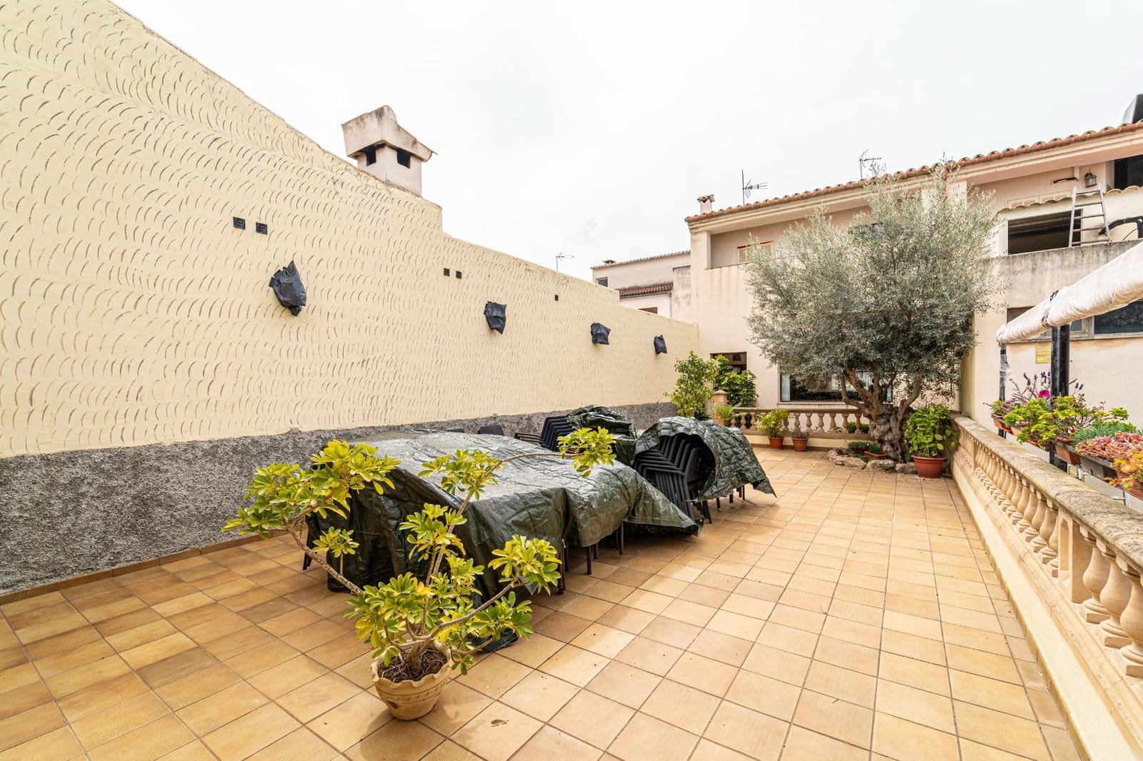 3 soveværelse Erhverv til leje i Maria de la Salud / Maria de la Salut - € 2.600 (Ref: 8211551)