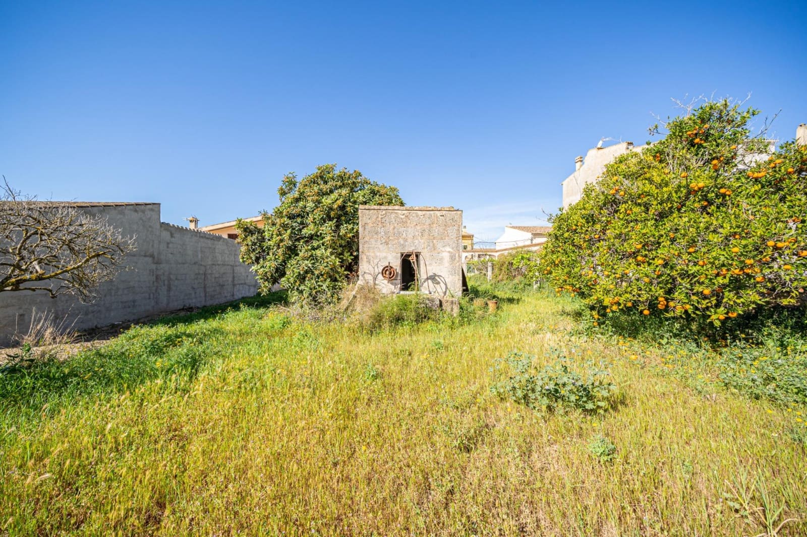 Byggegrund til salg i Vilafranca de Bonany - € 375.000 (Ref: 8313836)