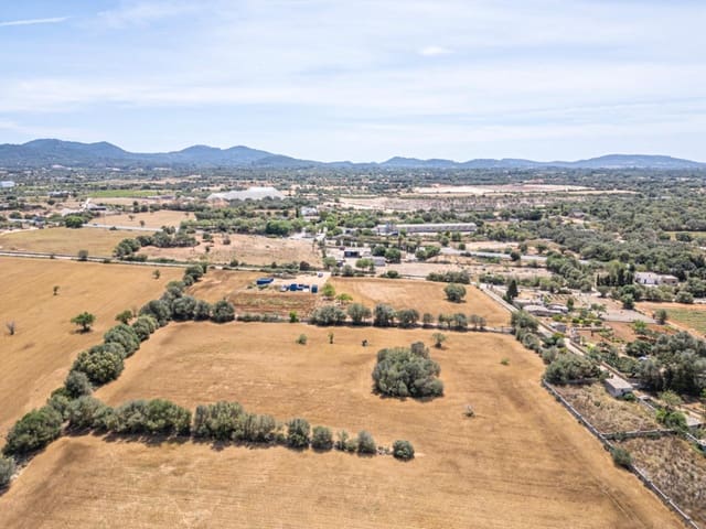 Tomt till salu i Felanitx - 189 000 € (Ref: 8343268)