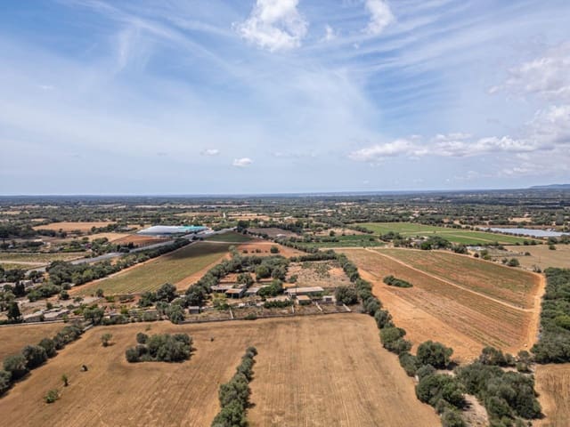 Bouwgrond te koop in Felanitx - € 679.000 (Ref: 8345164)