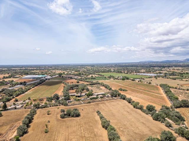 Bouwgrond te koop in Felanitx - € 679.000 (Ref: 8345164)