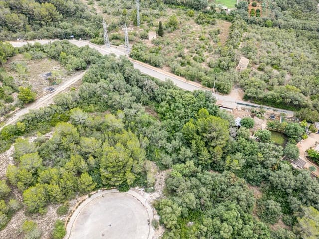 Byggetomt til salgs i Manacor - € 210 000 (Ref: 8385104)