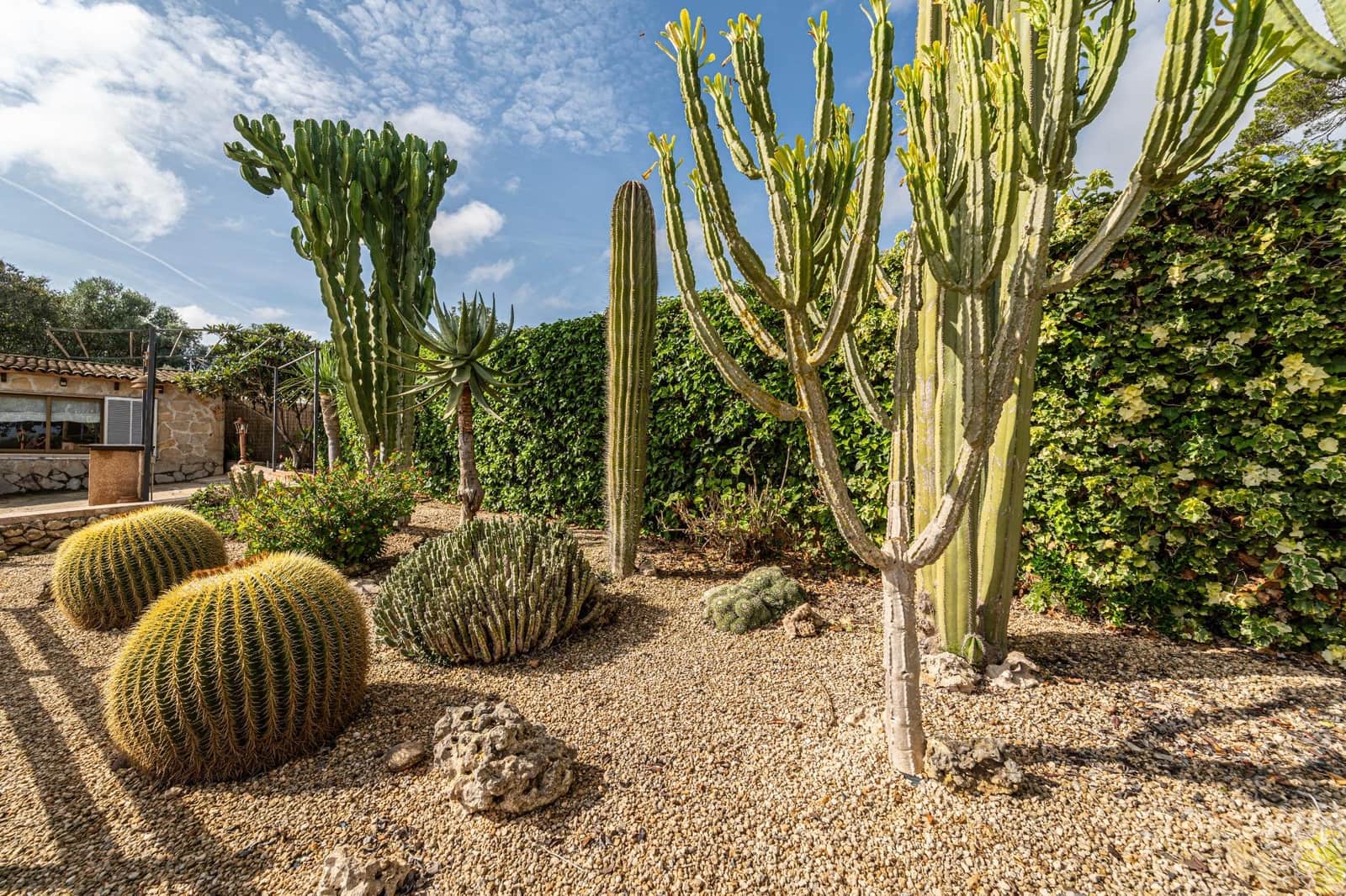 4 soveværelse Finca/Landehus til salg i Petra med swimmingpool garage - € 995.000 (Ref: 8615431)