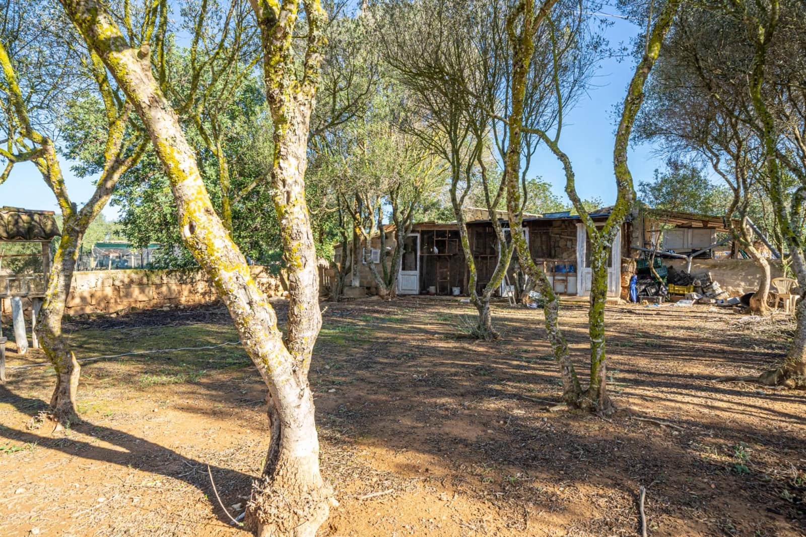 1 sypialnia Finka/Dom wiejski na sprzedaż w Llucmajor z basenem garażem - 425 000 € (Ref: 9353467)