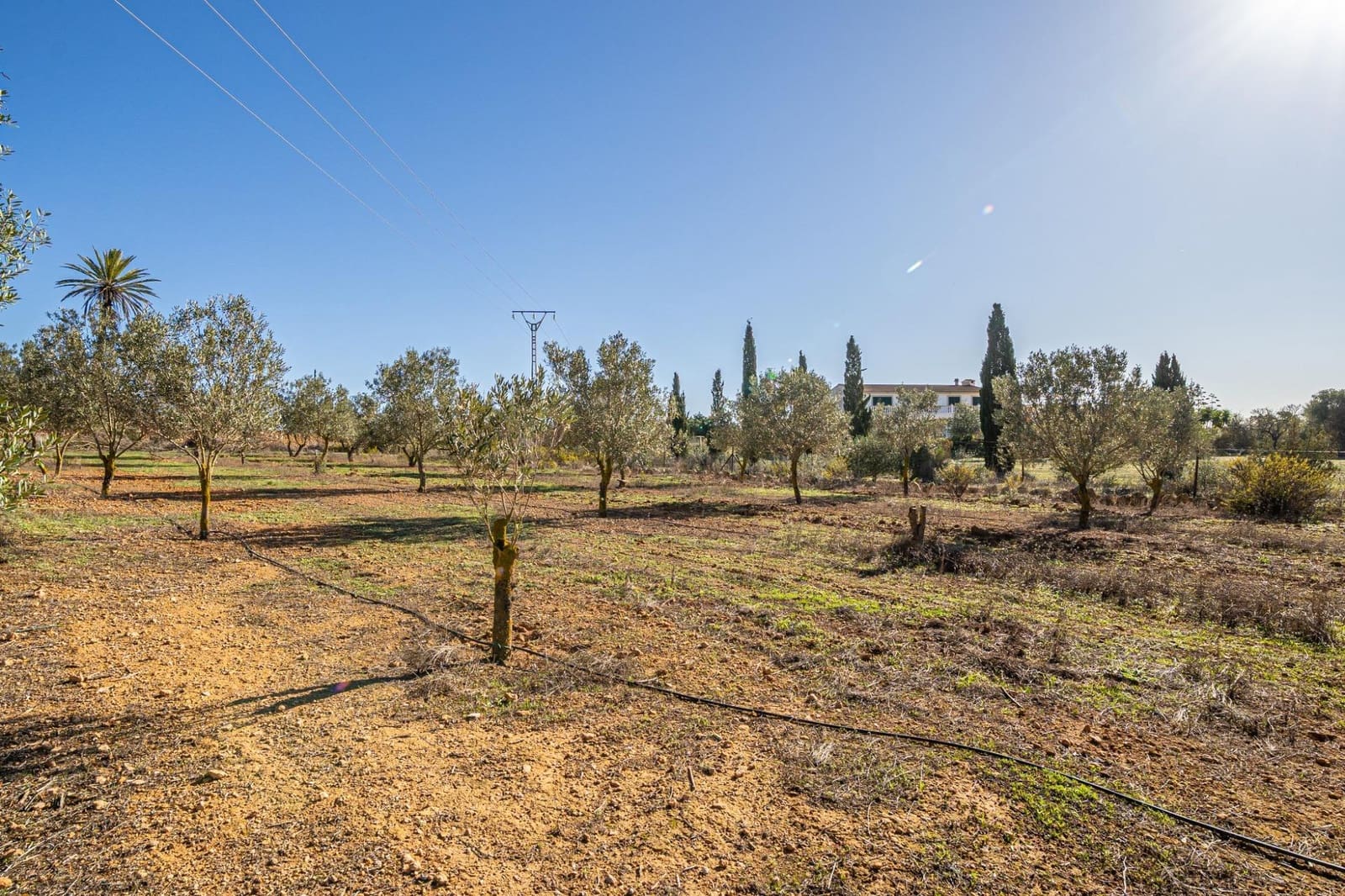 1 sovrum Finca/Hus på landet till salu i Llucmajor med pool garage - 425 000 € (Ref: 9353467)