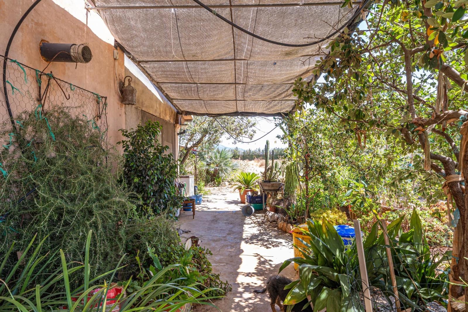 3 chambre Finca/Maison de Campagne à vendre à Buger avec garage - 525 000 € (Ref: 9374590)