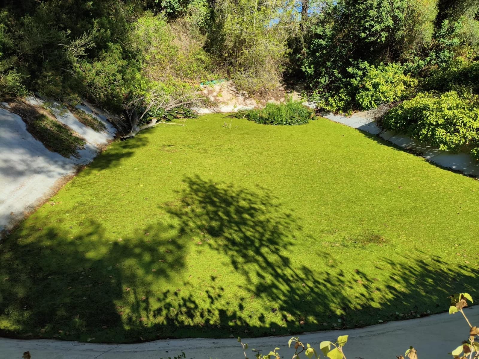 Finca/Casa Rural de 3 habitaciones en Esporles en venta - 599.000 € (Ref: 9375215)