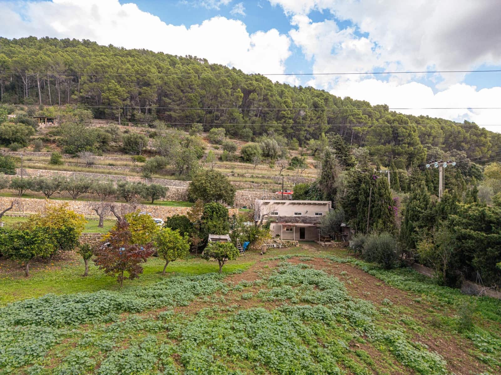 Finca/Casa Rural de 3 habitaciones en Esporles en venta - 599.000 € (Ref: 9375215)