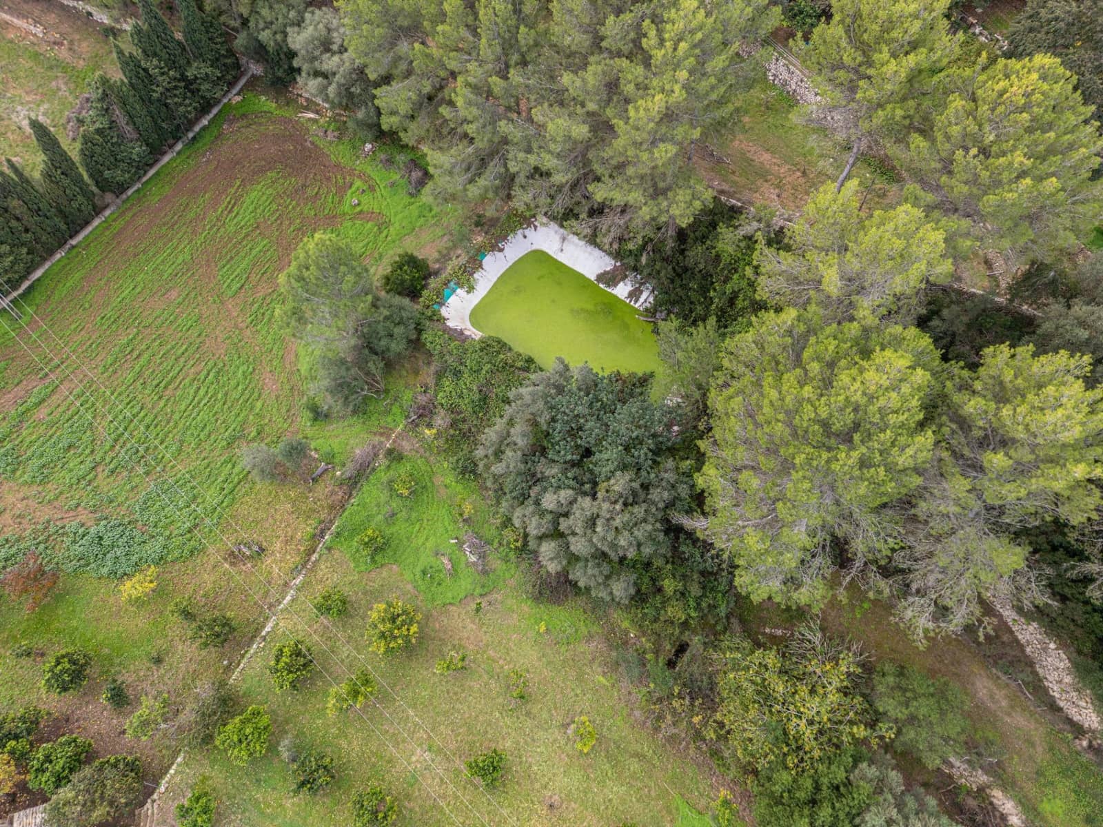 Finca/Casa Rural de 3 habitaciones en Esporles en venta - 599.000 € (Ref: 9375215)