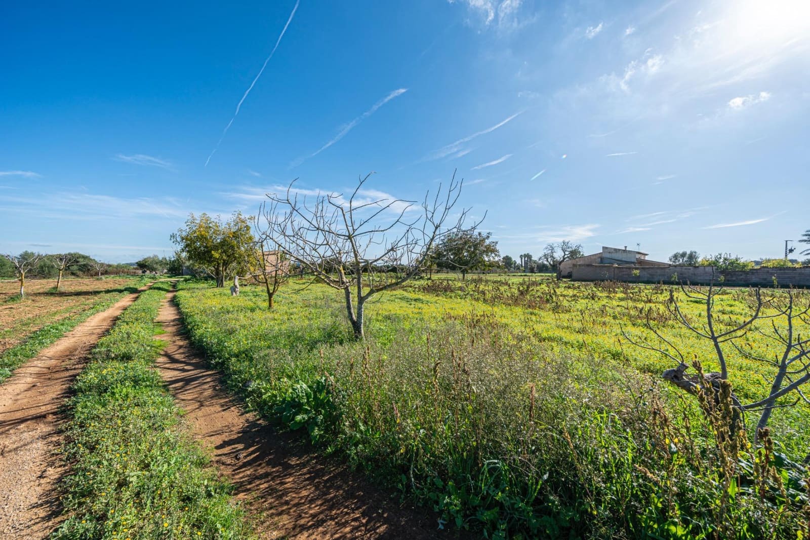 1 bedroom Finca/Country House for sale in Porreres - € 135,000 (Ref: 9388080)