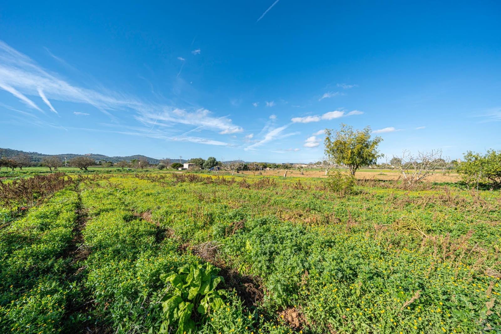 1 bedroom Finca/Country House for sale in Porreres - € 135,000 (Ref: 9388080)