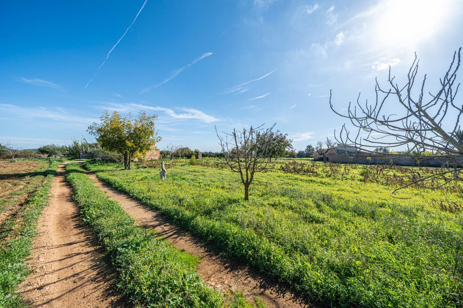 1 bedroom Finca/Country House for sale in Porreres - € 135,000 (Ref: 9388080)