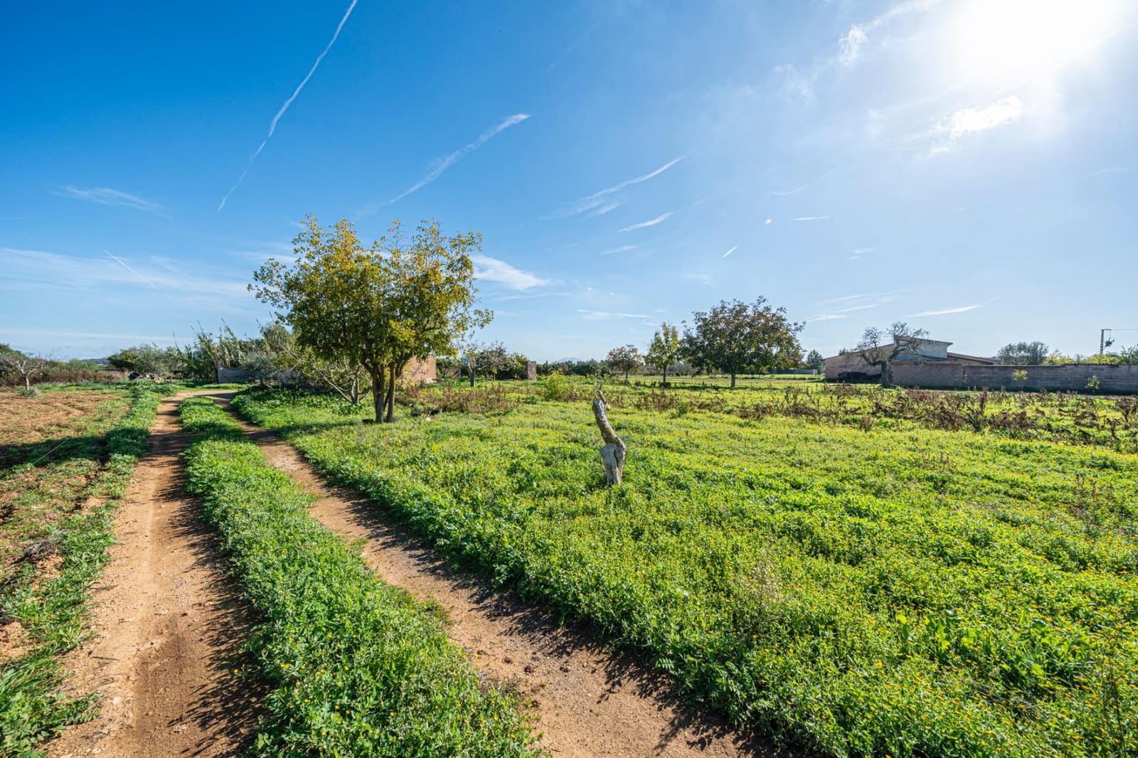 1 slaapkamer Finca/Landhuis te koop in Porreres - € 135.000 (Ref: 9388080)