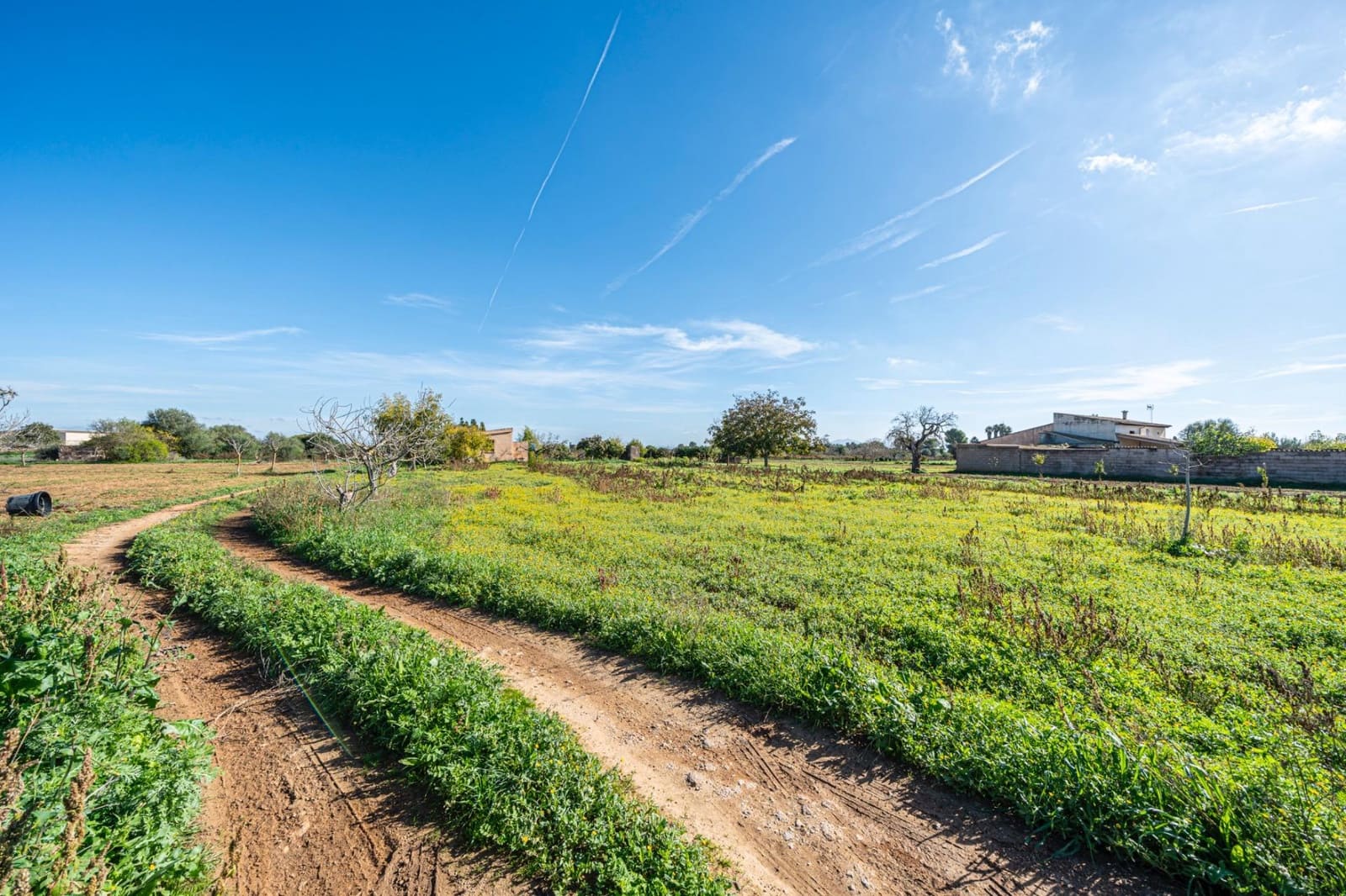 1 slaapkamer Finca/Landhuis te koop in Porreres - € 135.000 (Ref: 9388080)