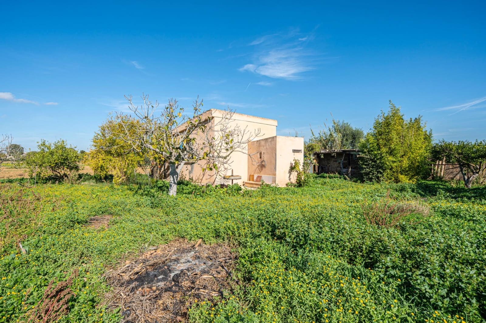 1 slaapkamer Finca/Landhuis te koop in Porreres - € 135.000 (Ref: 9388080)