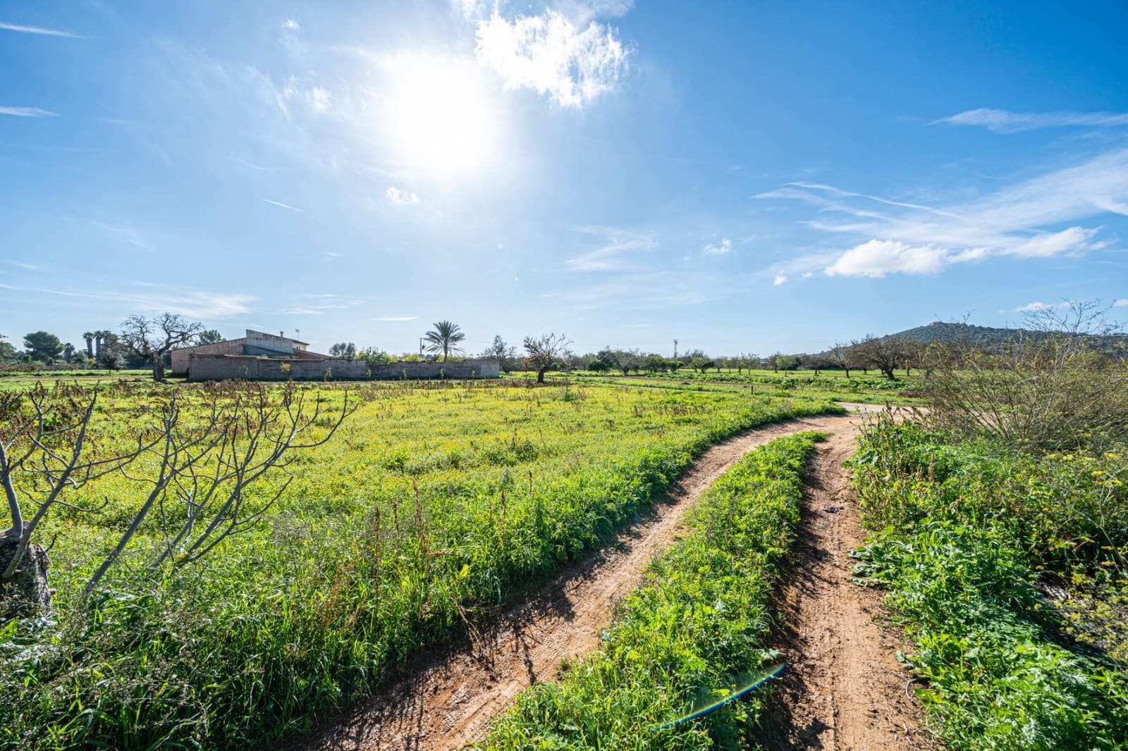 1 slaapkamer Finca/Landhuis te koop in Porreres - € 135.000 (Ref: 9388080)