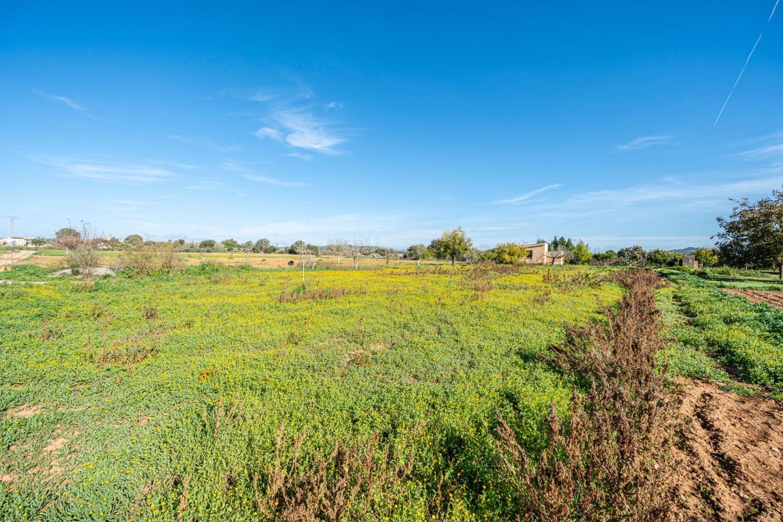 1 slaapkamer Finca/Landhuis te koop in Porreres - € 135.000 (Ref: 9388080)