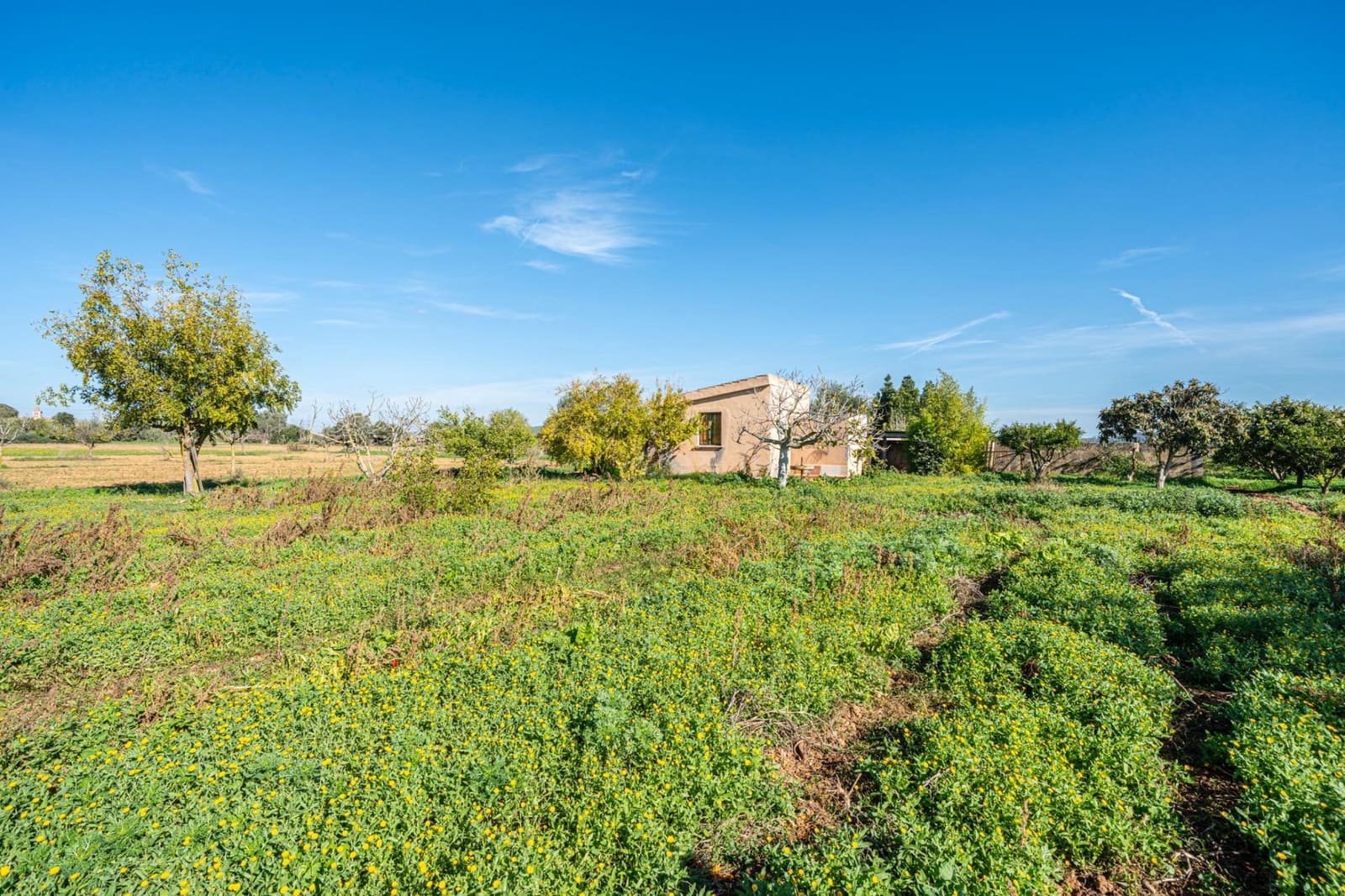 1 slaapkamer Finca/Landhuis te koop in Porreres - € 135.000 (Ref: 9388080)