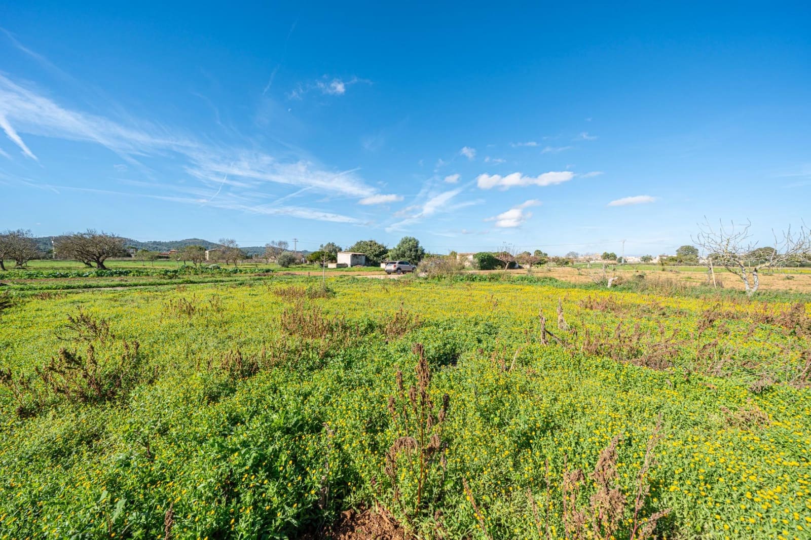 1 slaapkamer Finca/Landhuis te koop in Porreres - € 135.000 (Ref: 9388080)