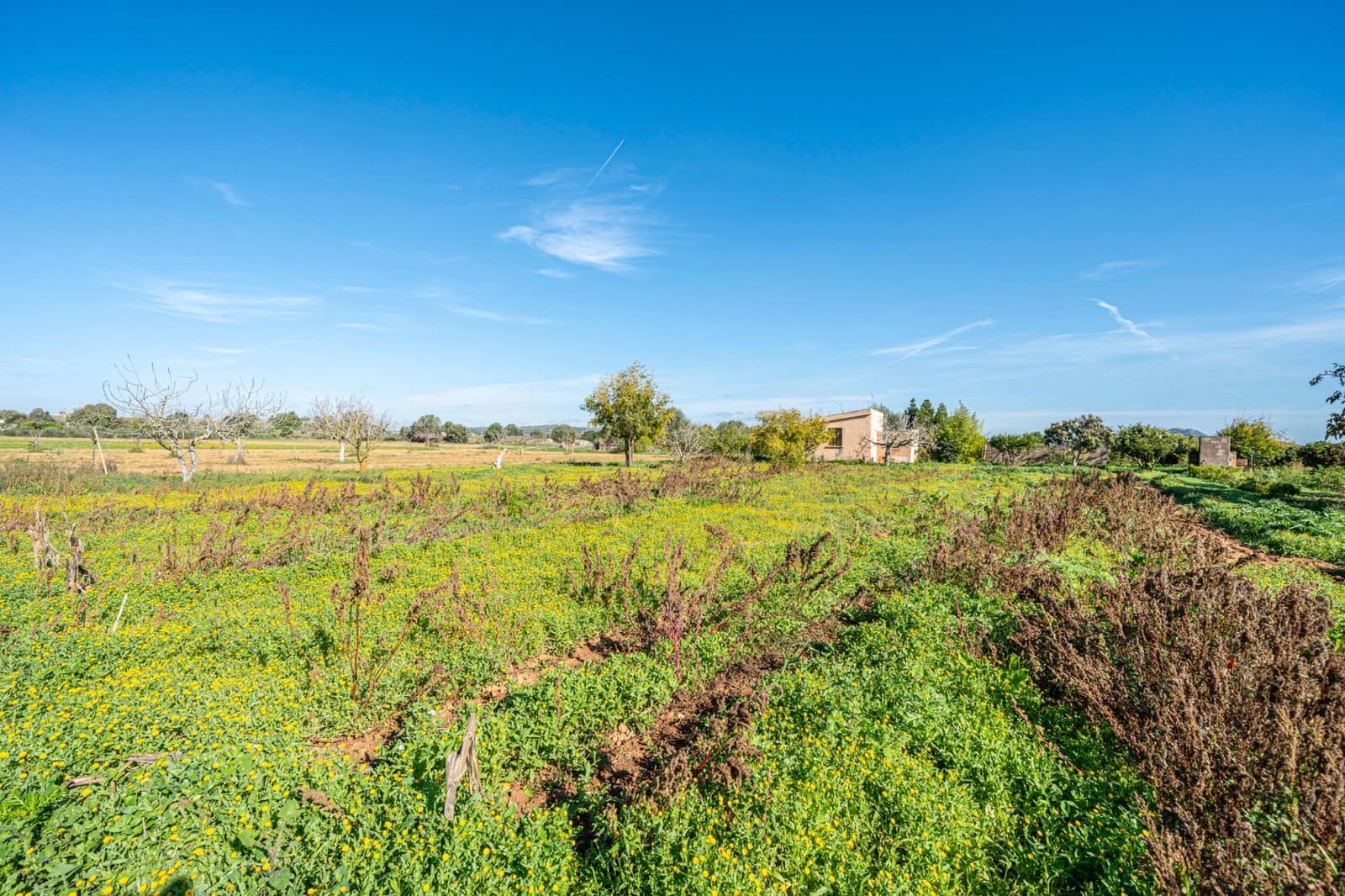 1 slaapkamer Finca/Landhuis te koop in Porreres - € 135.000 (Ref: 9388080)