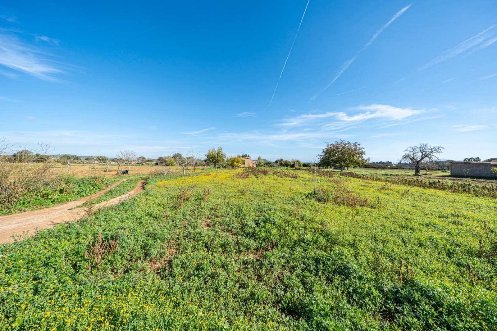 1 slaapkamer Finca/Landhuis te koop in Porreres - € 135.000 (Ref: 9388080)