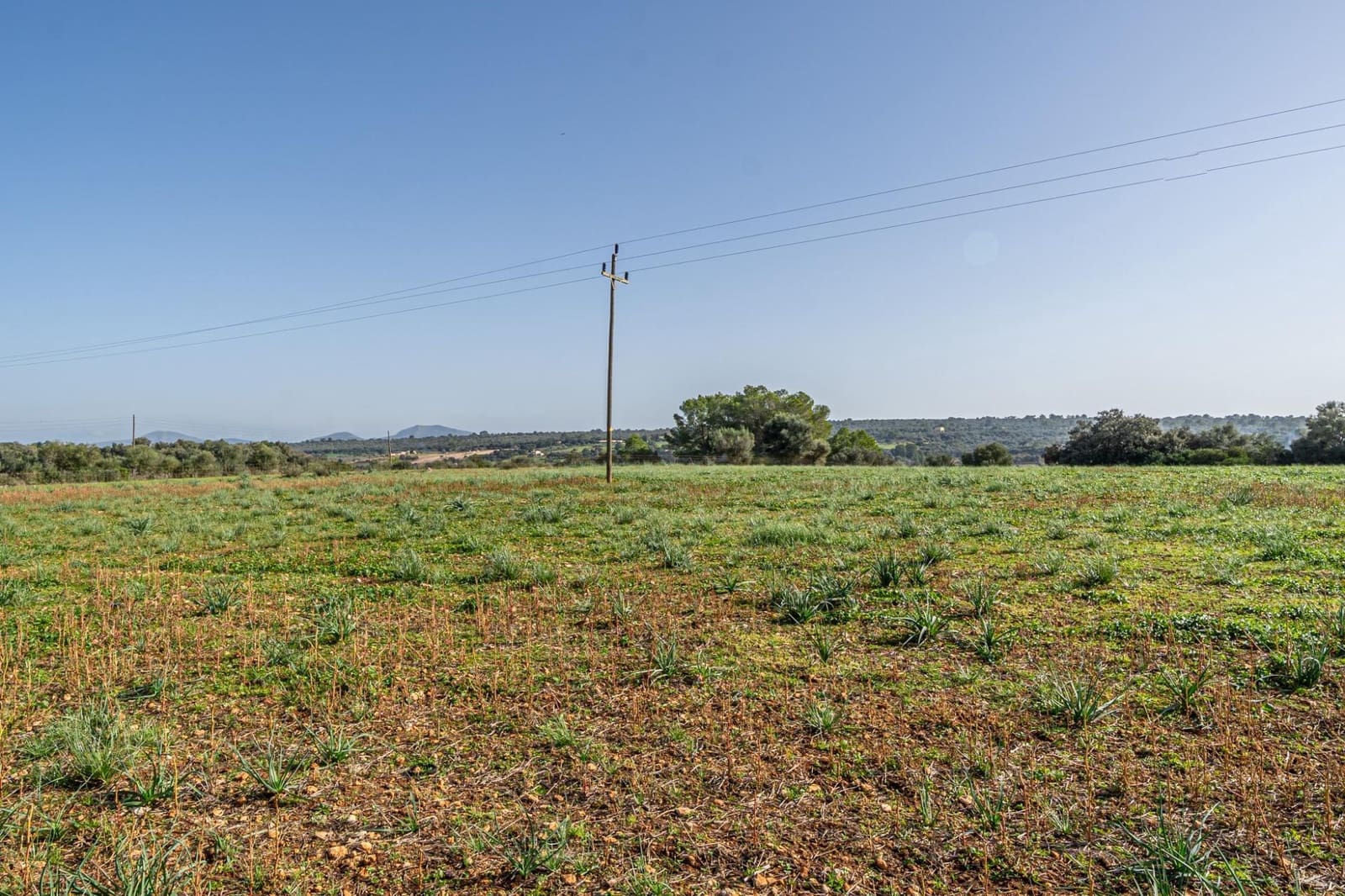 Tomt till salu i Ariany - 189 900 € (Ref: 9398642)