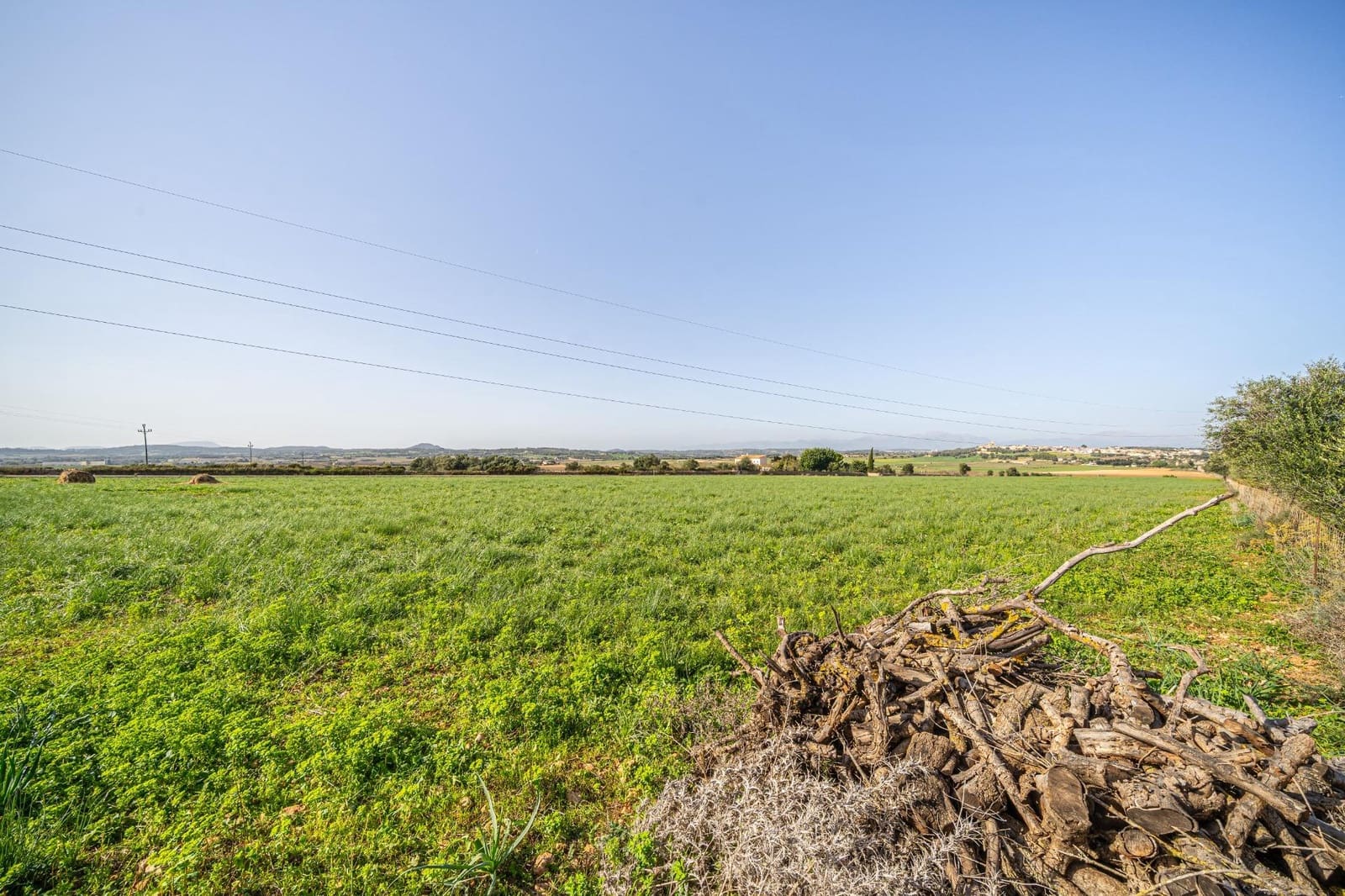 Tomt till salu i Ariany - 189 900 € (Ref: 9398642)