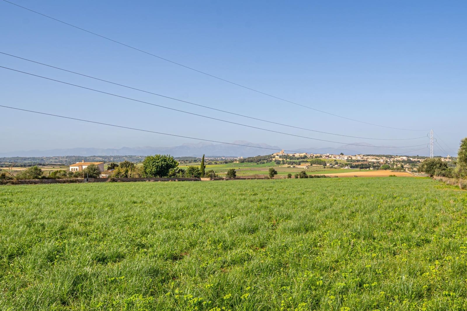 Tomt till salu i Ariany - 159 900 € (Ref: 9398642)